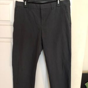Express Dress Pant